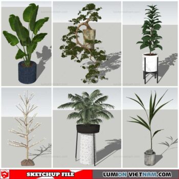 Plant Pots - Sketchup Models By Nha Tay