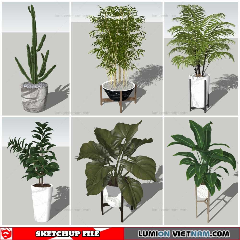 051021-Plant-Pots-(11)-Sketchup-Models