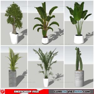 Plant Pots - Sketchup Models By Nha Tay