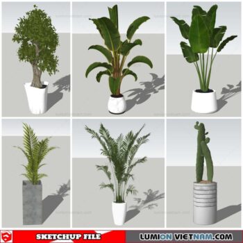 Plant Pots - Sketchup Models By Nha Tay