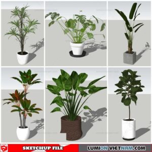 Plant Pots - Sketchup Models By Nha Tay