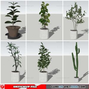 Plant Pots - Sketchup Models By Nha Tay