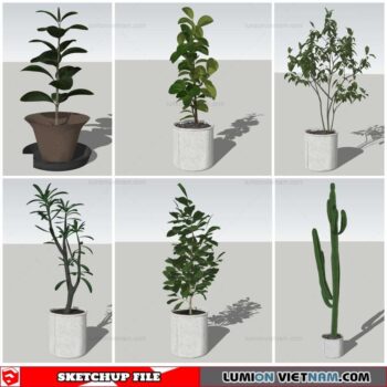 Plant Pots - Sketchup Models By Nha Tay