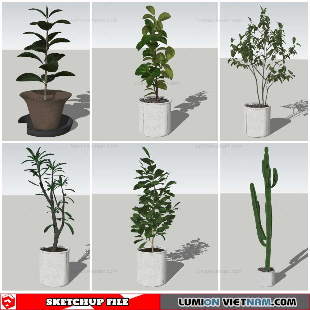 051021-Plant-Pots-(14)-Sketchup-Models