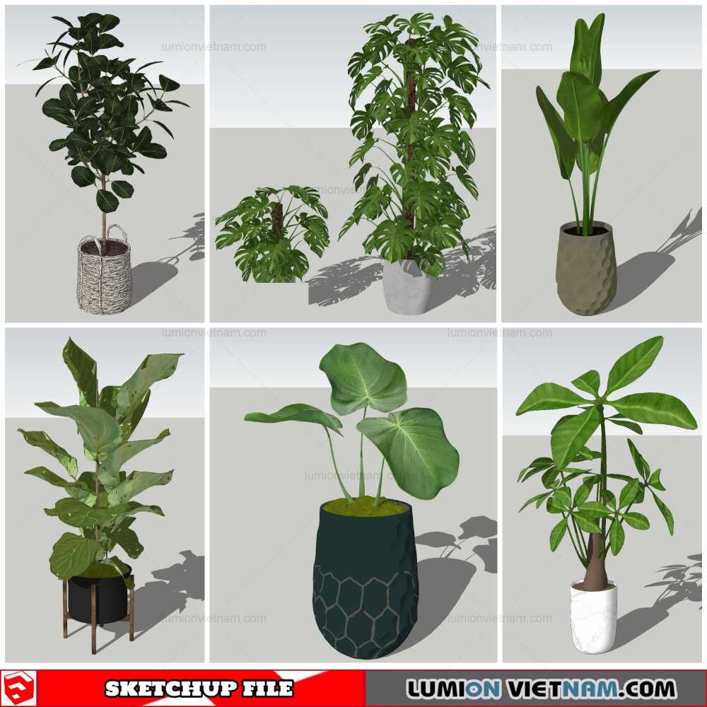 051021-Plant-Pots-(15)-Sketchup-Models