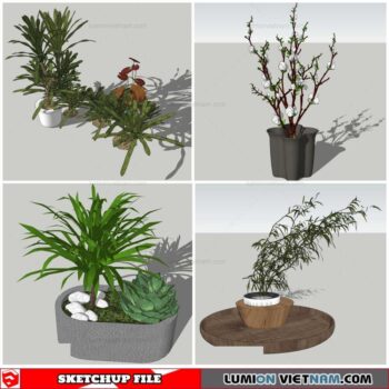Plant Pots - Sketchup Models By Nha Tay