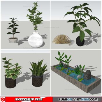 Plant Pots - Sketchup Models By Nha Tay