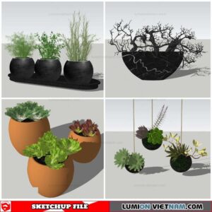 Plant Pots - Sketchup Models By Nha Tay