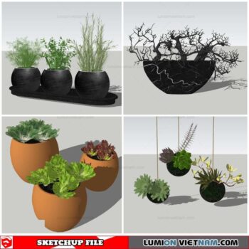 Plant Pots - Sketchup Models By Nha Tay