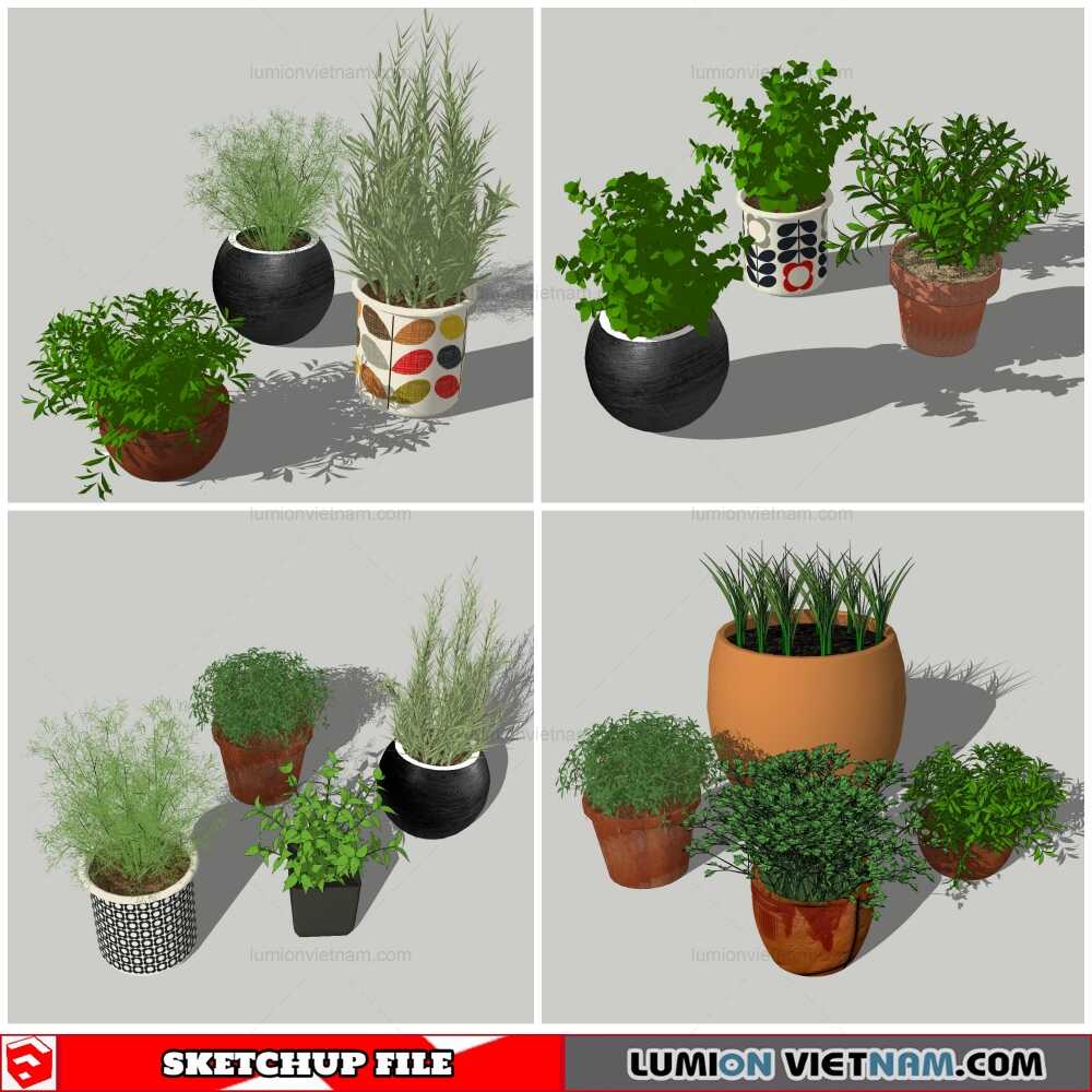051021-Plant-Pots-(19)-Sketchup-Models