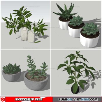 Plant Pots - Sketchup Models By Nha Tay