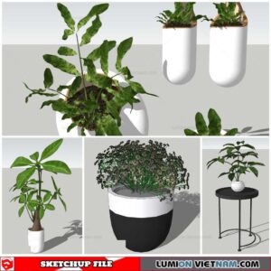 Plant Pots - Sketchup Models By Nha Tay