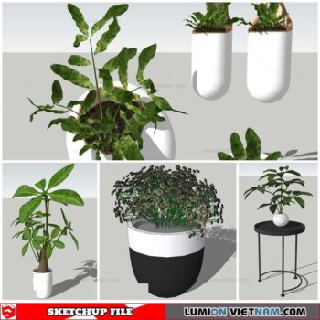 Plant Pots - Sketchup Models By Nha Tay