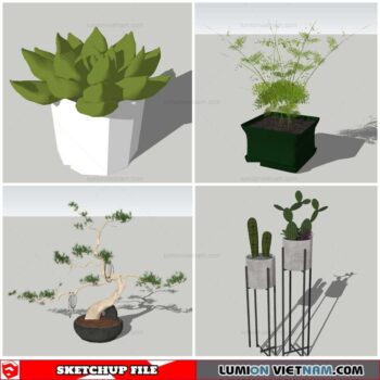 Plant Pots - Sketchup Models By Nha Tay