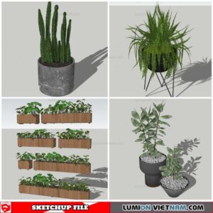 Plant Pots - Sketchup Models By Nha Tay
