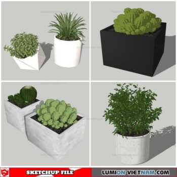 Plant Pots - Sketchup Models By Nha Tay