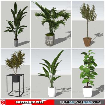 Plant Pots - Sketchup Models By Nha Tay