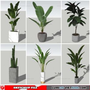 Plant Pots - Sketchup Models By Nha Tay