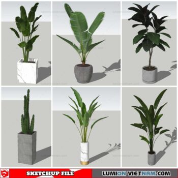 Plant Pots - Sketchup Models By Nha Tay