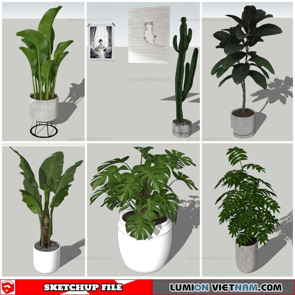 051021-Plant-Pots-(5)-Sketchup-Models