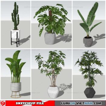 Plant Pots - Sketchup Models By Nha Tay