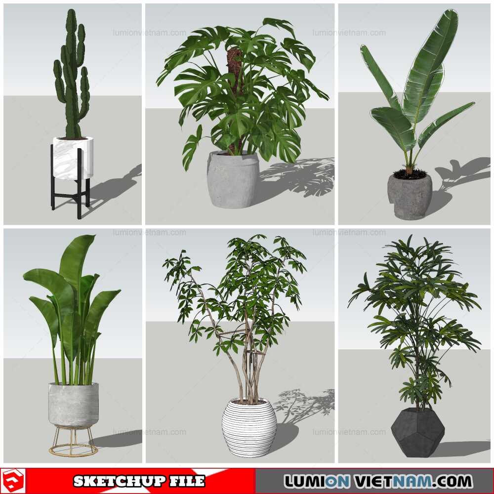051021-Plant-Pots-(6)-Sketchup-Models