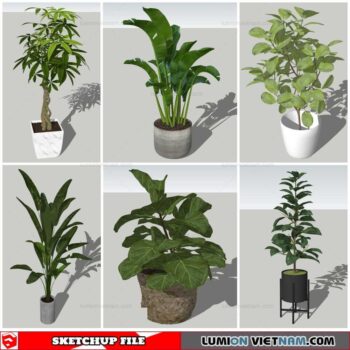 Plant Pots - Sketchup Models By Nha Tay