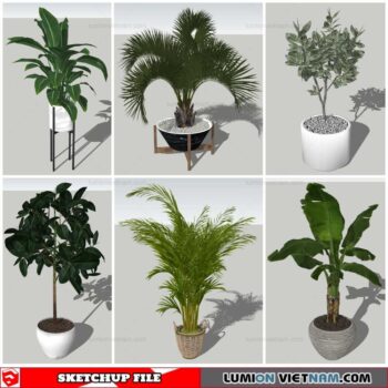 Plant Pots - Sketchup Models By Nha Tay