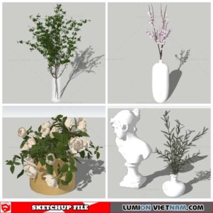 Plant Decor - Sketchup Models By Nha Tay