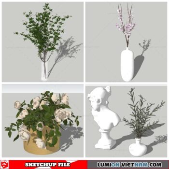Plant Decor - Sketchup Models By Nha Tay