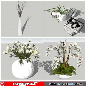 Plant Decor - Sketchup Models By Nha Tay
