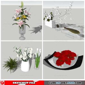 Plant Decor - Sketchup Models By Nha Tay