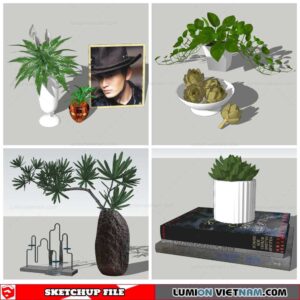 Plant Decor - Sketchup Models By Nha Tay