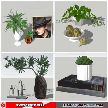 Plant Decor - Sketchup Models By Nha Tay