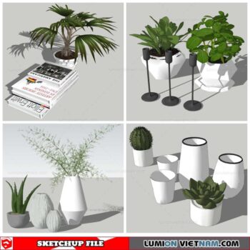 Plant Decor - Sketchup Models By Nha Tay