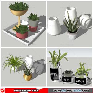 Plant Decor - Sketchup Models By Nha Tay