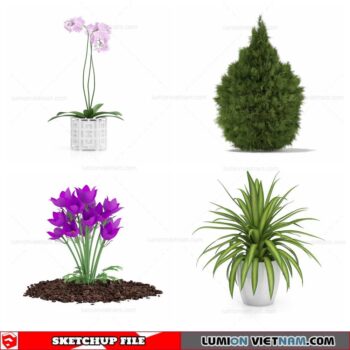 Plant - Sketchup Models By Sketchuparchive