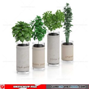 Plant - Sketchup Models By Sketchuparchive