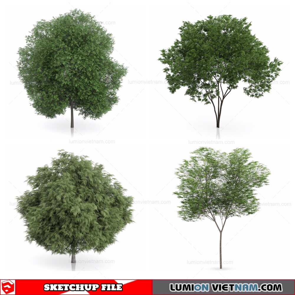 261021-Plant-(3)-Sketchup-Models