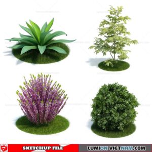 Plant - Sketchup Models By Sketchuparchive