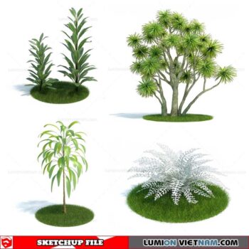 Tree - Sketchup Models By Sketchuparchive