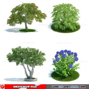 Tree - Sketchup Models By Sketchuparchive