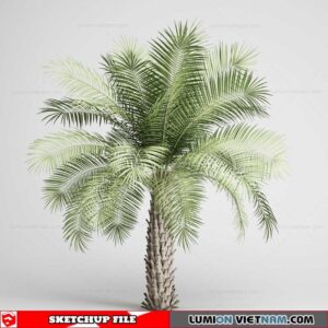 Tree - Sketchup Models By Sketchuparchive