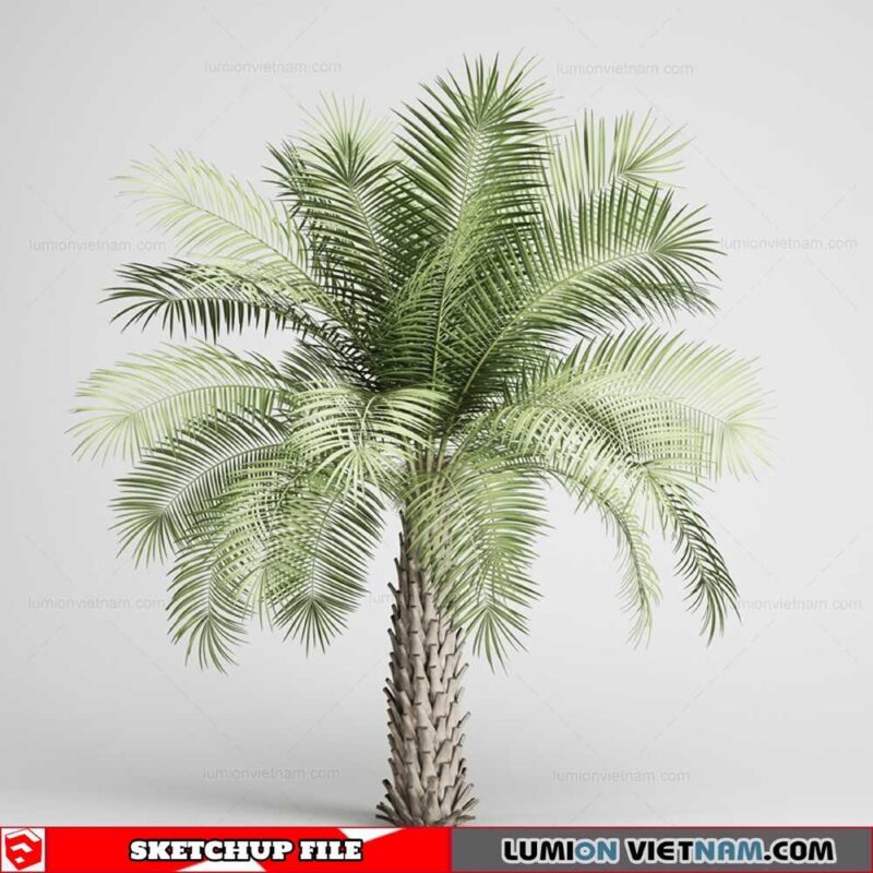 Tree - Sketchup Models By Sketchuparchive