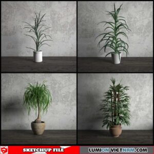 Plant Pots - Sketchup Models