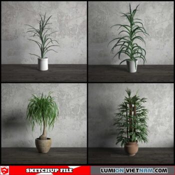 Plant Pots - Sketchup Models