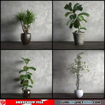 Plant Pots - Sketchup Models