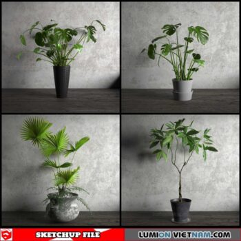 Plant Pots - Sketchup Models