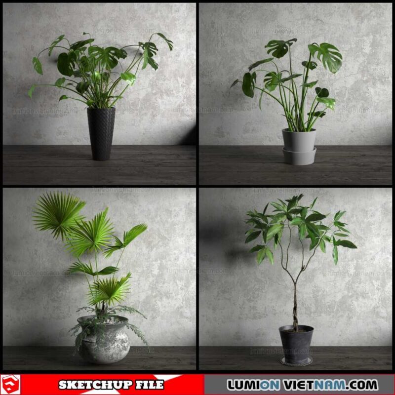 Plant Pots - Sketchup Models