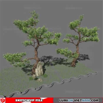 Bonsai Tree - Sketchup Models